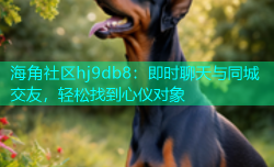 海角社区hj9db8：即时聊天与同城交友，轻松找到心仪对象