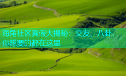 海角社区真假大揭秘：交友、八卦，你想要的都在这里