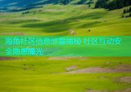 海角社区信息泄露揭秘 社区互动安全隐患曝光
