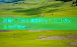 海角社区信息泄露揭秘 社区互动安全隐患曝光