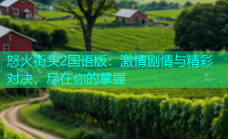 怒火街头2国语版：激情剧情与精彩对决，尽在你的掌握