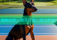 海角社区：真实社交、多元互动