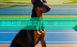 海角社区：真实社交、多元互动