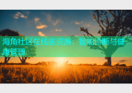 海角社区在线医资源：智能诊断与健康管理