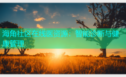 海角社区在线医资源：智能诊断与健康管理