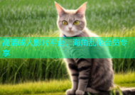 高清成人影片平台，海角乱伦会员专享