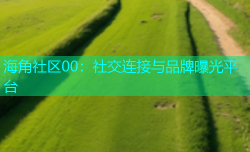 海角社区00：社交连接与品牌曝光平台