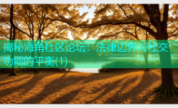 揭秘海角社区论坛：法律边界与社交功能的平衡(1)