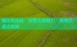 情迷黑森林：探索无限魅力，畅享沉浸式体验