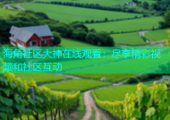 海角社区大神在线观看：尽享精彩视频和社区互动