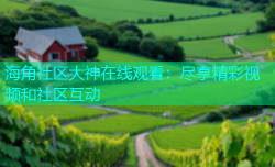 海角社区大神在线观看：尽享精彩视频和社区互动