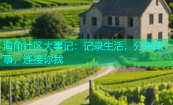 海角社区大事记：记录生活，分享故事，连接你我
