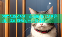 海角社区2024：连接生活，分享兴趣，实时互动的社交新体验