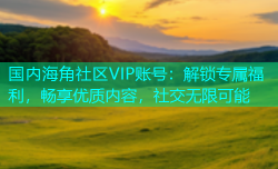 国内海角社区VIP账号：解锁专属福利，畅享优质内容，社交无限可能