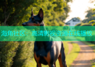 海角社区：高清影视资源在线播放