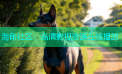 海角社区：高清影视资源在线播放