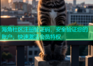 海角社区注册验证码，安全验证您的账户，快速激活会员特权