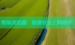 海角浏览器：极速安全上网助手