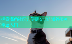 探索海角社区：便捷安全的海外服务平台入口