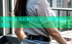 海角社区域名解析大全：快速查找与管理