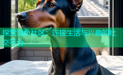 探索海角社区：连接生活与兴趣的社交平台