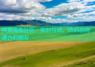 探索海角社区：实时互动，结识志同道合的朋友