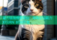 磁力链接搜索平台：海角论坛磁力XTURN BTIH下载