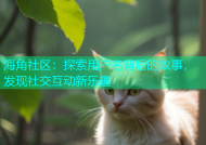 海角社区：探索用户名背后的故事，发现社交互动新乐趣