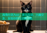 海角社区App：多元互动，兴趣交友，发现你的社交新大陆
