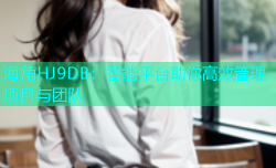 海角HJ9DB：智能平台助你高效管理项目与团队