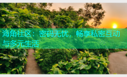 海角社区：密码无忧，畅享私密互动与多元生活