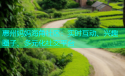 惠州妈妈海角社区：实时互动、兴趣圈子、多元化社交平台