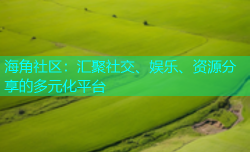 海角社区：汇聚社交、娱乐、资源分享的多元化平台