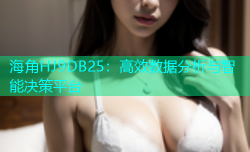 海角HJ9DB25：高效数据分析与智能决策平台