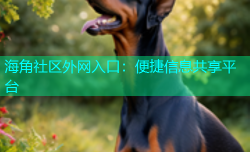 海角社区外网入口：便捷信息共享平台