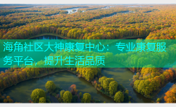 海角社区大神康复中心：专业康复服务平台，提升生活品质