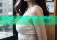 海角社区：探索社区故事，发现新生活方式