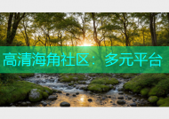 高清海角社区：多元平台