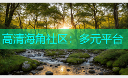 高清海角社区：多元平台