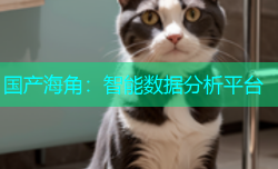 国产海角：智能数据分析平台