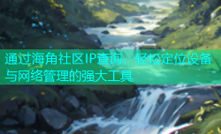 通过海角社区IP查询，轻松定位设备与网络管理的强大工具