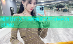 海角社区关闭深度解析及平台特色功能揭秘