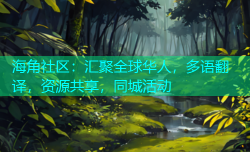 海角社区：汇聚全球华人，多语翻译，资源共享，同城活动