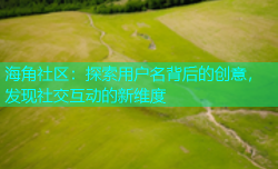 海角社区：探索用户名背后的创意，发现社交互动的新维度