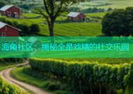 海角社区：揭秘全是戏精的社交乐园
