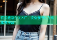 海角登录永久入口，安全便捷的在线服务平台