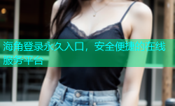 海角登录永久入口，安全便捷的在线服务平台