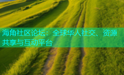 海角社区论坛：全球华人社交、资源共享与互动平台