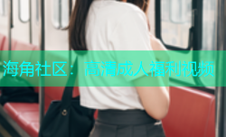 海角社区：高清成人福利视频