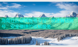海角社区破解账号平台：快速解锁账号，安全便捷的破解服务